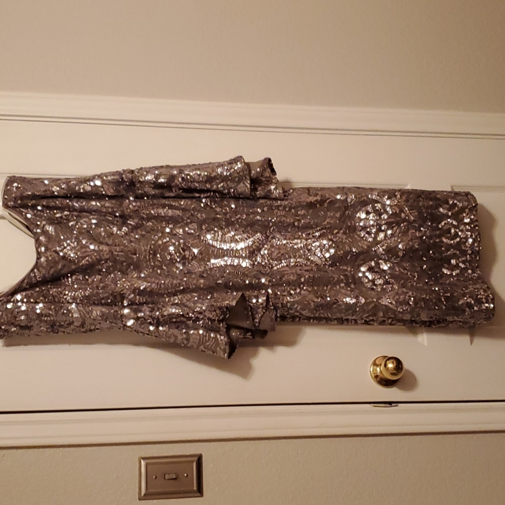 Silver sequins cocktail dress by Betsy & Adam.